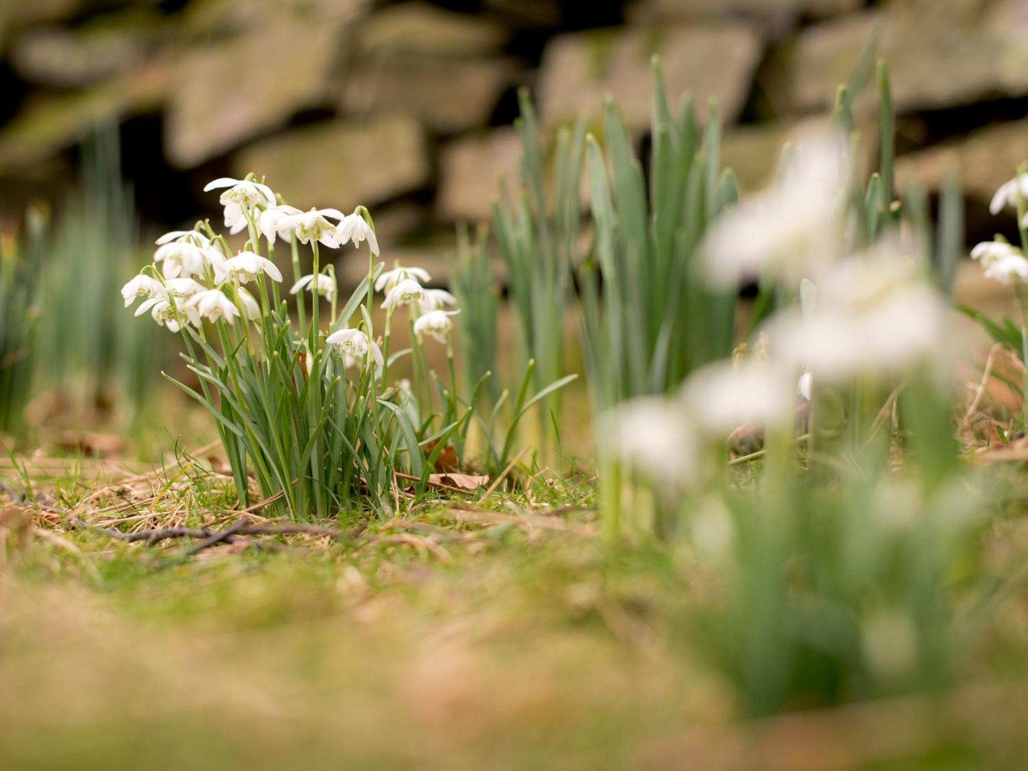 Yha Buttermere Exterior foto